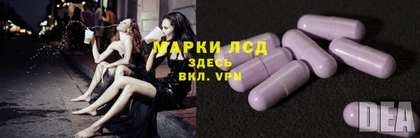 ПСИЛОЦИБИНОВЫЕ ГРИБЫ Абаза