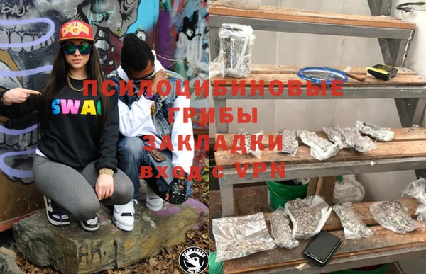 ПСИЛОЦИБИНОВЫЕ ГРИБЫ Абаза