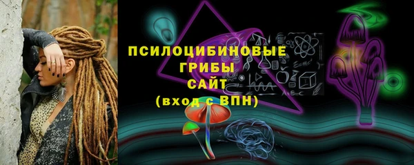 ПСИЛОЦИБИНОВЫЕ ГРИБЫ Абаза